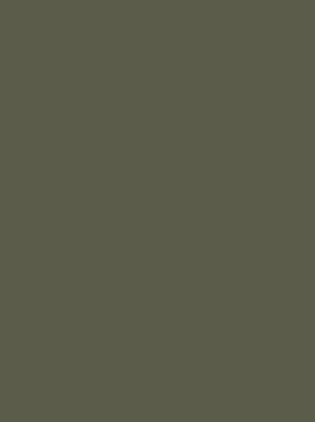 LGL_Website_ColourLayer_V1