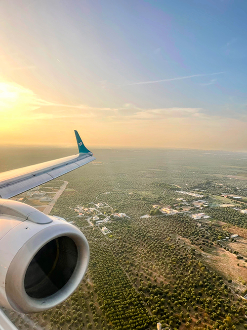 LGL_Website_PlaneWindow_500x666