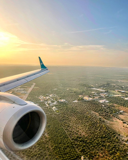 LGL_Website_PlaneWindow_500x625